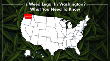 Is Weed Legal in Washington? What You Need to Know