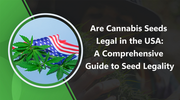 Are Cannabis Seeds Legal in the USA: A Comprehensive Guide to Seed Legalit