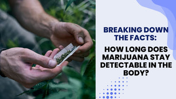 Breaking Down the Facts: How Long Does Marijuana Stay Detectable in the Body?