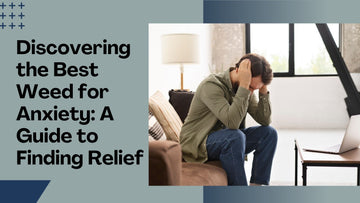 Discovering the Best Weed for Anxiety: A Guide to Finding Relief 