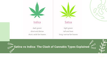 Sativa vs Indica: The Clash of Cannabis Types Explained